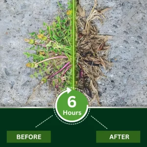 🌟 Official Store | AEXZR® 2 in 1 Max Power Herbicide