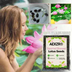 🌟 Official Store |🔥Hot Sale - 50% OFF🌿AEXZR® Sacred Bonsai Lotus Seeds