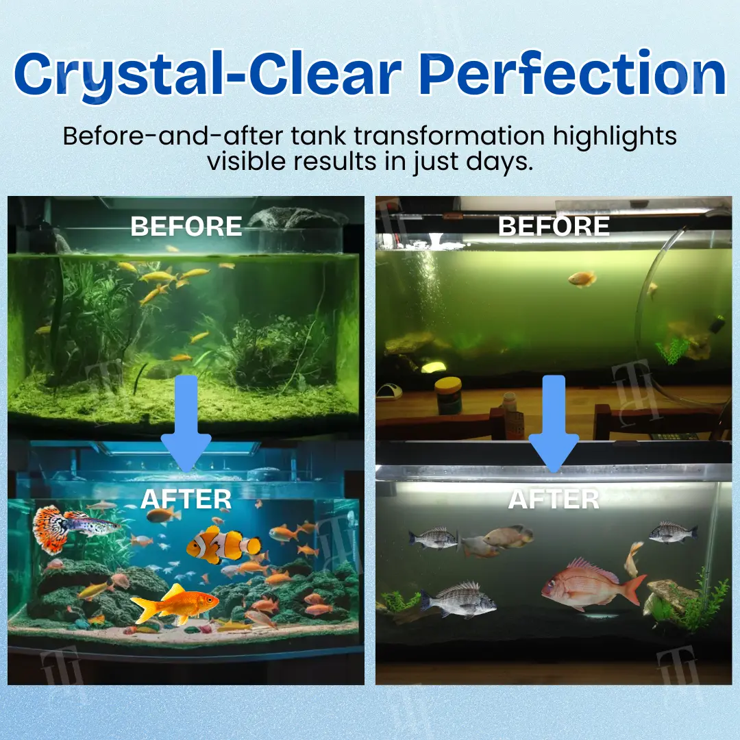 🔥LOWEST PRICE - 50% OFF | AEXZR® Aquariums Aqua-Guardian Blend