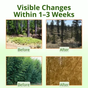 ⚡LOWEST PRICE OF ALL !!!!  Hot Sale - 50% OFF |  AEXZR® Cyclosinone Herbicide Granules