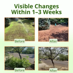 ⚡LOWEST PRICE OF ALL !!!!  Hot Sale - 50% OFF |  AEXZR® Cyclosinone Herbicide Granules