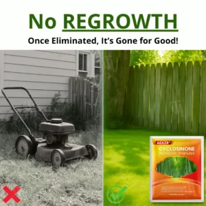 ⚡LOWEST PRICE OF ALL !!!!  Hot Sale - 50% OFF |  AEXZR® Cyclosinone Herbicide Granules