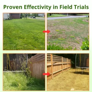 ⚡LOWEST PRICE OF ALL !!!!  Hot Sale - 50% OFF |  AEXZR® Cyclosinone Herbicide Granules