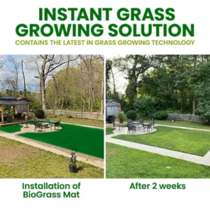 🏆Official Store | 🌟 Give your lawn a new look 🌟AEXZR®  Compostable Lawn Grow Mat 🔥Hot Sale - 50% OFF🌿