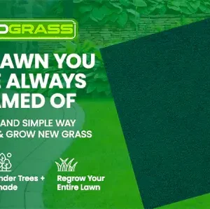 🏆Official Store | 🌟 Give your lawn a new look 🌟AEXZR® Compostable Lawn Grow Mat 🔥Hot Sale - 50% OFF🌿