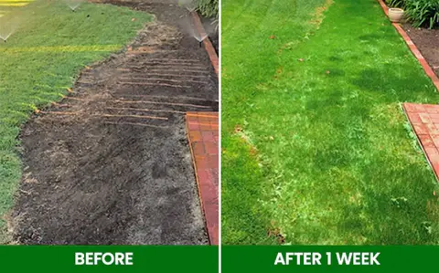 🏆Official Store | 🌟 Give your lawn a new look 🌟AEXZR® Compostable Lawn Grow Mat 🔥Hot Sale - 50% OFF🌿