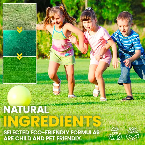 🏆Official Store | 💚Enhance The Natural Beauty Of Your Lawn 💚AEXZR® GoGreen Lawn Grass Sunny Spray