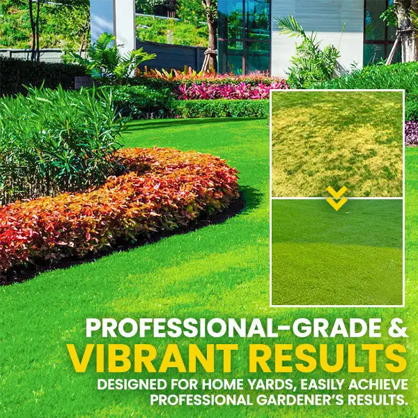 🏆Official Store | 💚Enhance The Natural Beauty Of Your Lawn 💚AEXZR® GoGreen Lawn Grass Sunny Spray