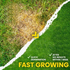 🏆Official Store | 💚Enhance The Natural Beauty Of Your Lawn 💚AEXZR® GoGreen Lawn Grass Sunny Spray