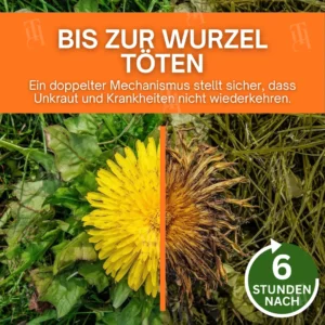 ⚡ Ergebnisse in wenigen Stunden sehen AEXZR® 2-in-1 Max Leistung Herbizid