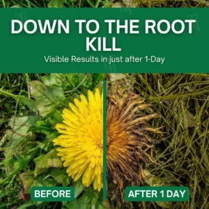 19 Pcs Left!!!🔥DISCOUNTED PRICE - 50% OFF🌿 AEXZR® 3 in 1 Max Power Herbicide