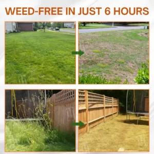 AEXZR® 2-in-1 Max Power Herbicide-🌿Dual-Action Weed Killer in 6 Hours☠️