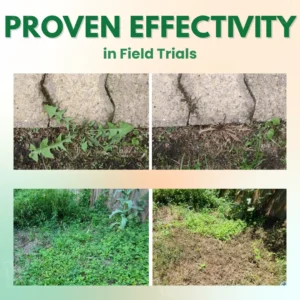 🏆Official Store | AEXZR® 5 in 1 Max Power Herbicide- Kills 200+ Weeds in 1-3 Days💡