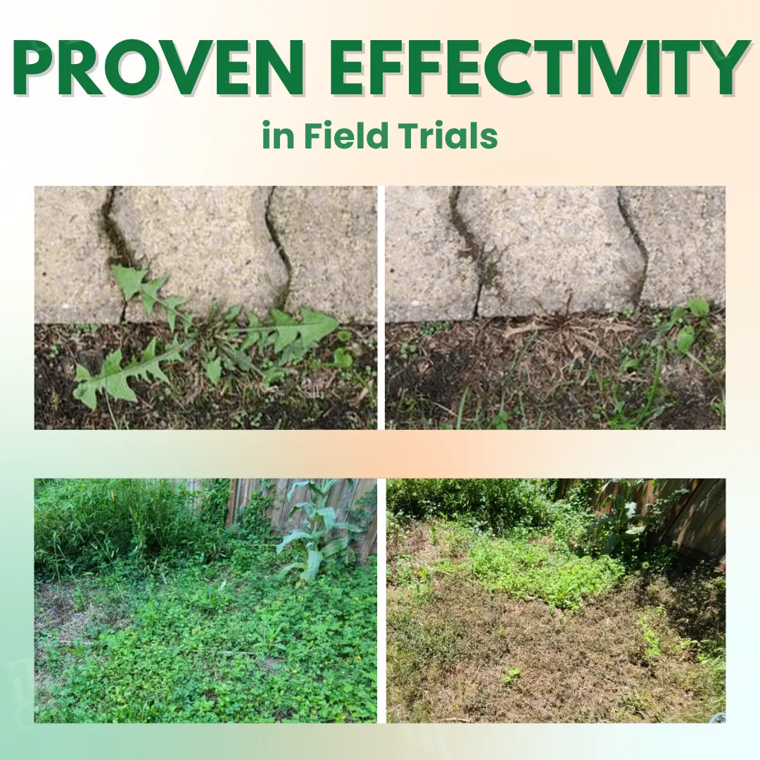 🏆Official Store | AEXZR® 5 in 1 Max Power Herbicide- Kills 200+ Weeds in 1-3 Days💡