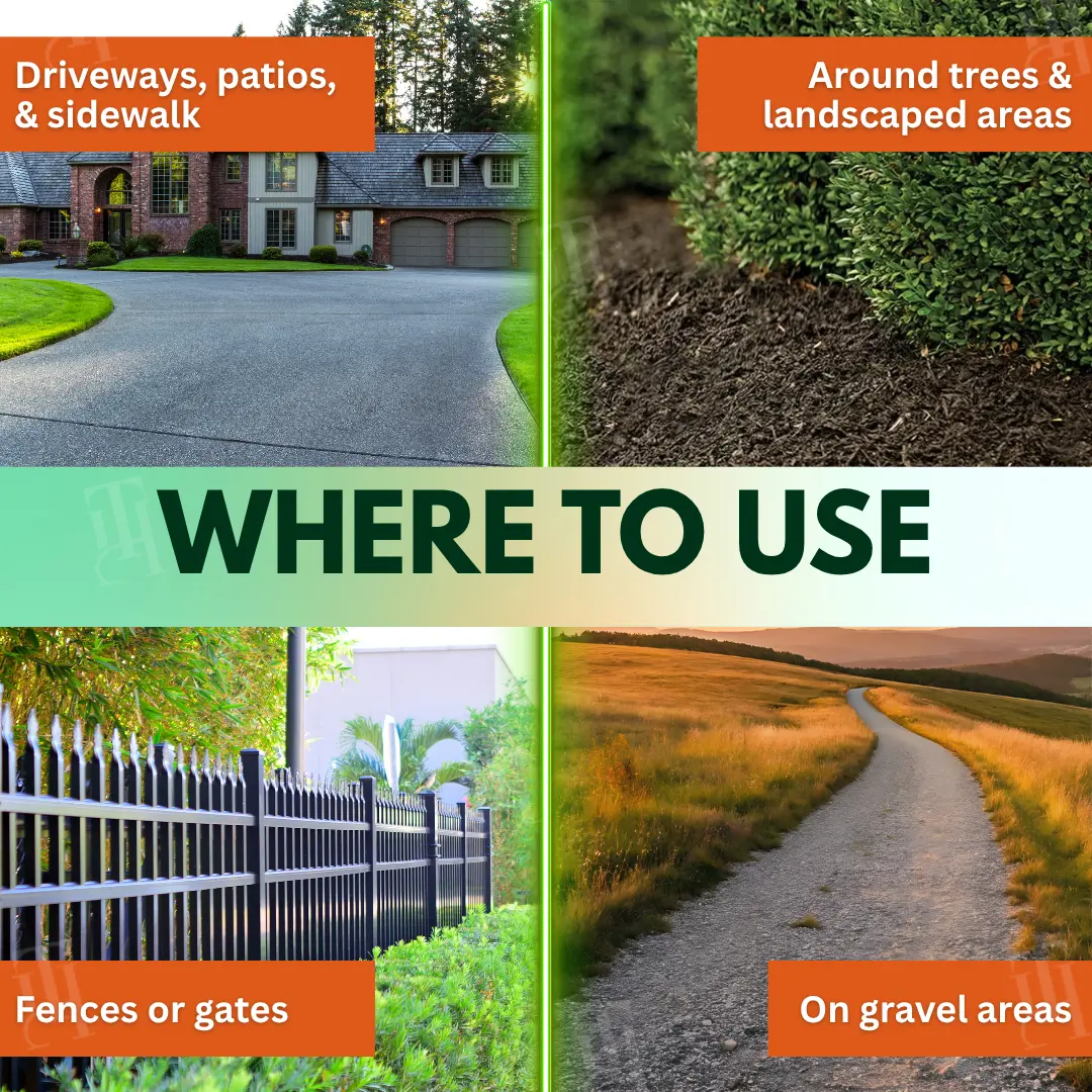 🏆Official Store | AEXZR® 5 in 1 Max Power Herbicide- Kills 200+ Weeds in 1-3 Days💡