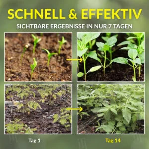 WEIHNACHTS-FRÜHAKTION: 40% RABATT | AEXZR® 2 in 1 Vita-Enzym Lösung [Offizieller Shop]