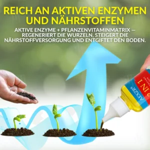 WEIHNACHTS-FRÜHAKTION: 40% RABATT | AEXZR® 2 in 1 Vita-Enzym Lösung [Offizieller Shop]